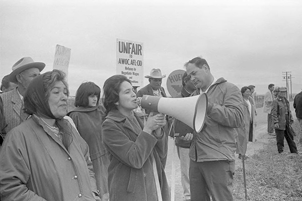 Dolores Huerta on the bull horn as grower Jack Pandol tapes her. Delano area, 1966. Photograph by John Kouns.