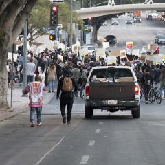 Large group of people marching carrying signs