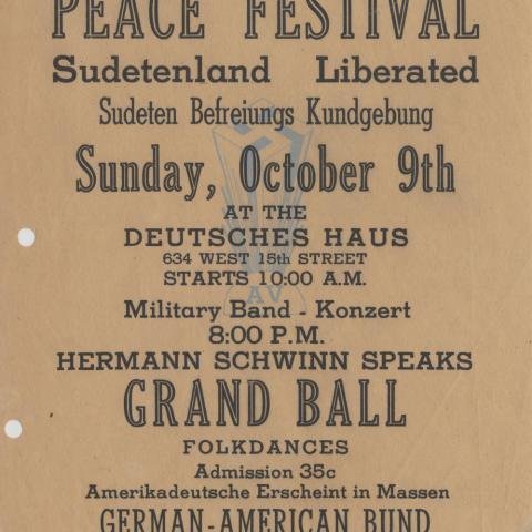 Flier for Peace Festival