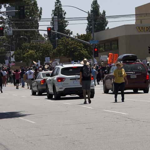 Large crowd of people marching with signs in the street