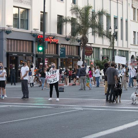 Over 30 masked people and two dogs spread out across the street intersection facing different directions, holding signs