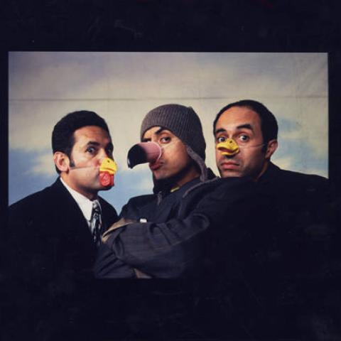 Culture Clash in "The Birds"